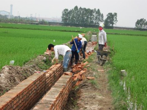 Đề nghị UBND Thành phố thực hiện Điều 11 Nghị định 77/2018/NĐ-CP ngày 16/5/2018 của Chính phủ 